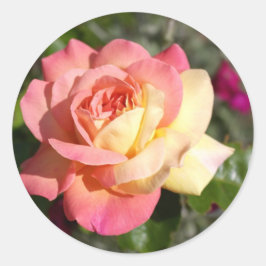 Hübsche rosa und gelbe Blume. floral Runder Aufkleber