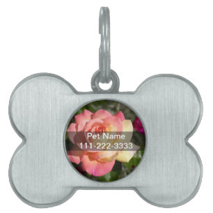 Hübsche rosa und gelbe Blume. floral Tiermarke