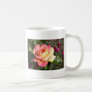 Hübsche rosa und gelbe Rosenblume. Floral Tasse