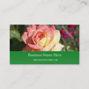 Hübsche rosa und gelbe Rosenblume Visitenkarte