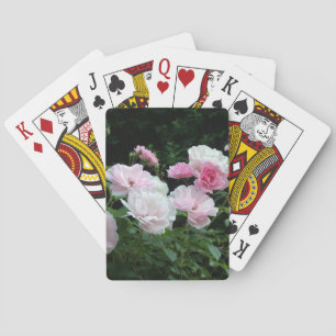 hübsche rosa und weiße Rosenblütensträucher. Flora Spielkarten