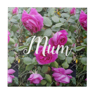 Hübsche rosa Vintage-Rose Blumen Geburtstags-Mutte Fliese