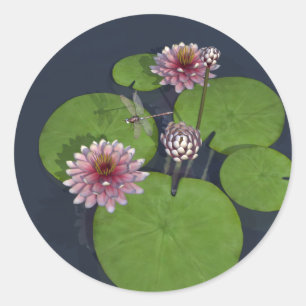 Hübsche Rosa Wasserlilie und Libelle Runder Aufkleber