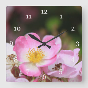 hübsche rosa wilde Rosenblumen für Damen Quadratische Wanduhr