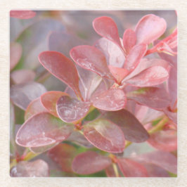 Hübsche rosa Zweige Glasuntersetzer