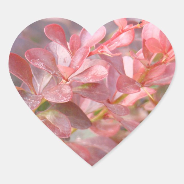 Hübsche rosa Zweige Herz-Aufkleber (Vorderseite)