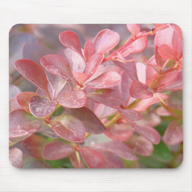 Hübsche rosa Zweige Mousepad (Vorne)