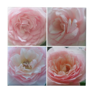 Hübsche Rose Fliese