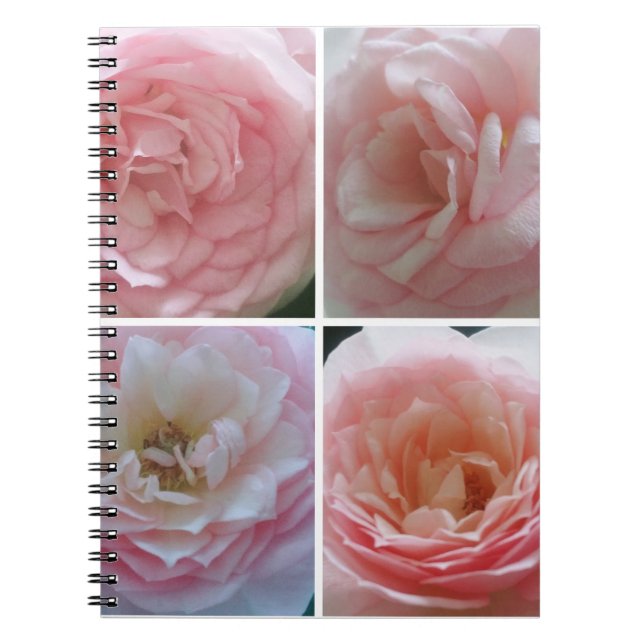 Hübsche Rose Notizblock (Vorderseite)