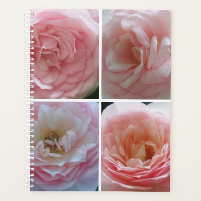 Hübsche Rose Planer (Vorderseite)