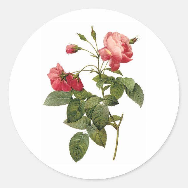 Hübsche Rose Runder Aufkleber (Vorderseite)