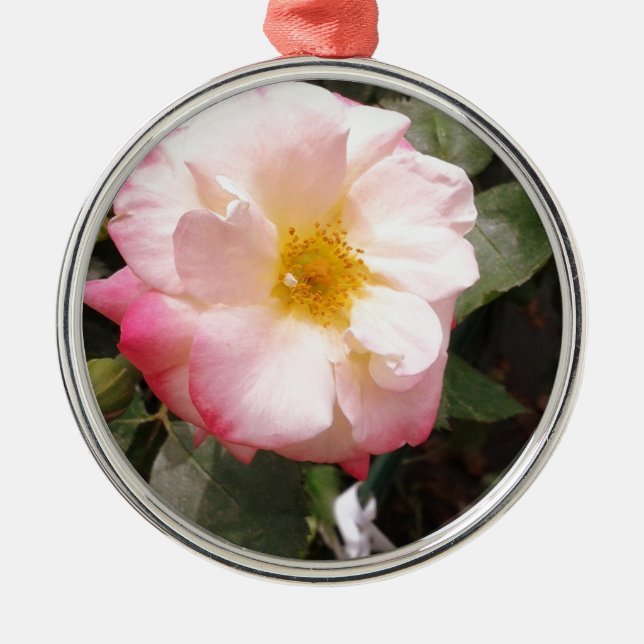 Hübsche Rose Silbernes Ornament (Vorne)