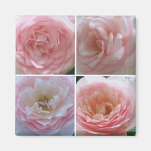 Hübsche Rosen Magnet