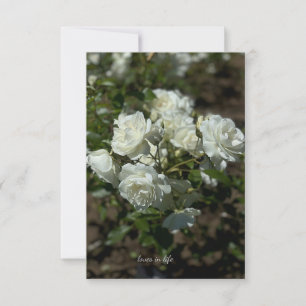 Hübsche Rosen Mitteilungskarte