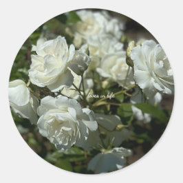 Hübsche Rosen Runder Aufkleber