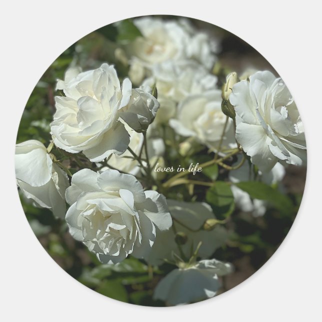Hübsche Rosen Runder Aufkleber (Vorderseite)