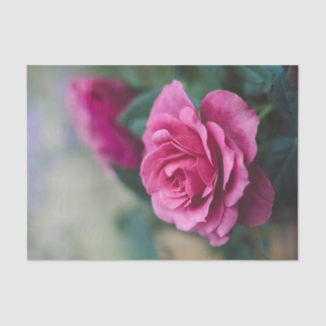 Hübsche Rosendecouponade Seidenpapier (Vorderseite)