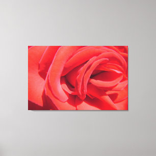 hübsche rote Rose Blume Foto Kunstwerk. Liebe Leinwanddruck