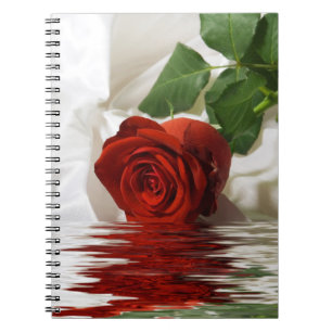 Hübsche Rote Rose mit Reflektion Notizblock