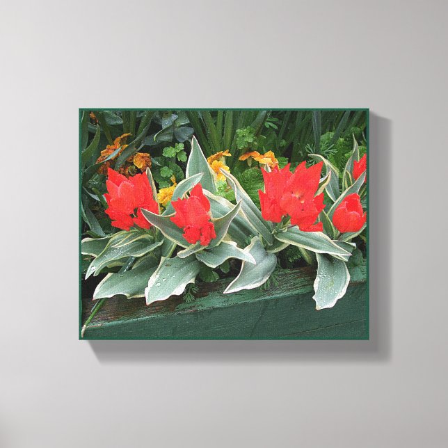 Hübsche rote Tulpen farbenfroh, stilvoll und blume Leinwanddruck (Vorderseite)