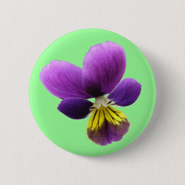 Hübsche Schaltfläche Button (Vorderseite)