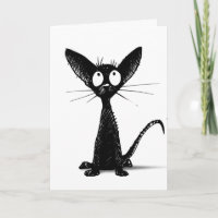 Hübsche Schwarz-Weiß-Katzenkatze