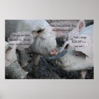 Hübsche Schweine "Wellness-Center" Mud Facial & Mu
