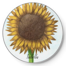 Hübsche Sonnenblume