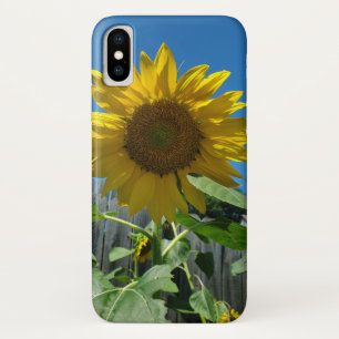 Hübsche Sonnenblumen-Fotografie Case-Mate iPhone Hülle