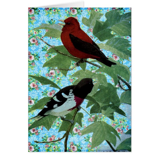 Hübsche Tagesvögel (Vorne)