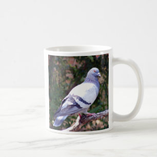 Hübsche Taube Kaffeetasse