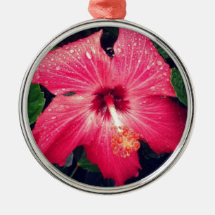 Hübsche tropische Blume Silbernes Ornament
