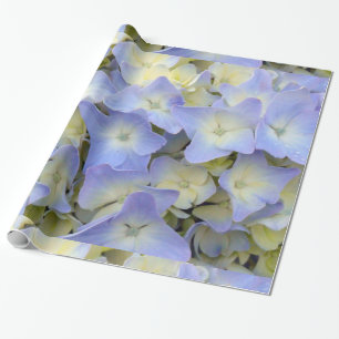 Hübsche und bunte hellblaue Hydrangea-Blumen Geschenkpapier