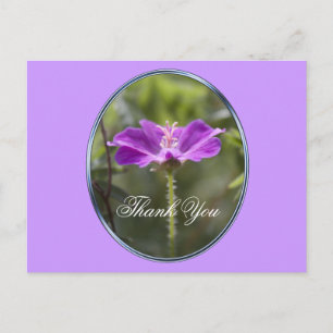 Hübsche und elegante lila Gartenanlage Blumen dank Postkarte