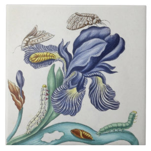 hübsche Vintage-Blumen und Insekten Keramikfliese