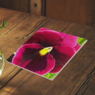 Hübsche Violette Stiefmütterchen-Blumen Fliese