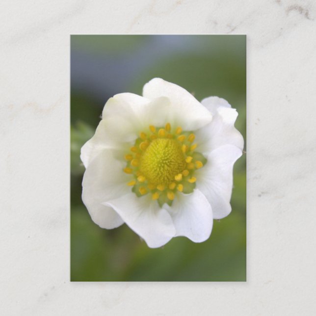 Hübsche Visitenkarten für die Blume von Erdbeeren. Visitenkarte (Vorderseite)