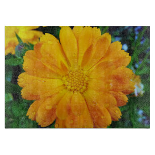 hübsche volle Blüte Sommer gelb blauen Blume. Schneidebrett