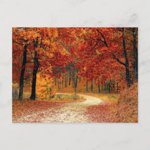 Hübsche Waldpostkarte Postkarte