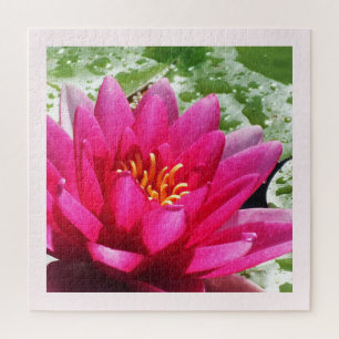 Hübsche Wasserlilie Puzzle