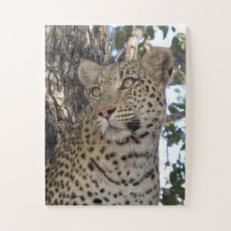 HÜBSCHE WEIBLICHE LEOPARDIN NAHAUFNAHME PUZZLE