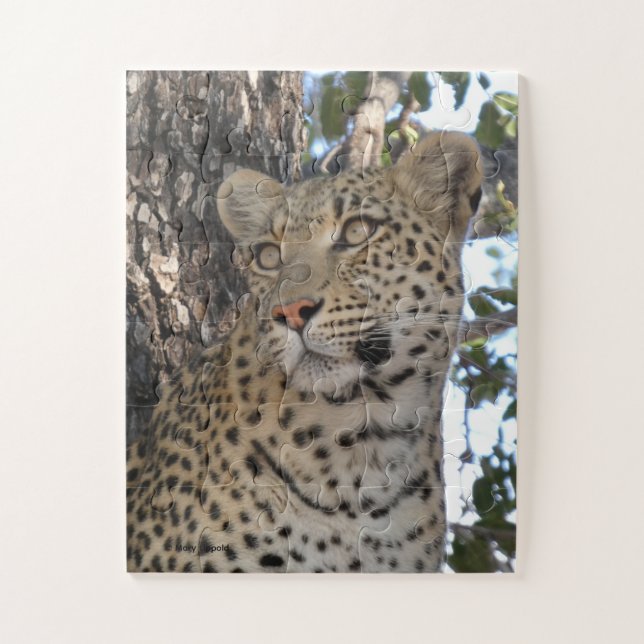 HÜBSCHE WEIBLICHE LEOPARDIN NAHAUFNAHME PUZZLE (Vertikal)