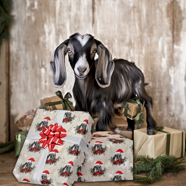 Hübsche Weihnachtsnacht Nubian Kid Goat Poinsettia Geschenkpapier (Von Creator hochgeladen)