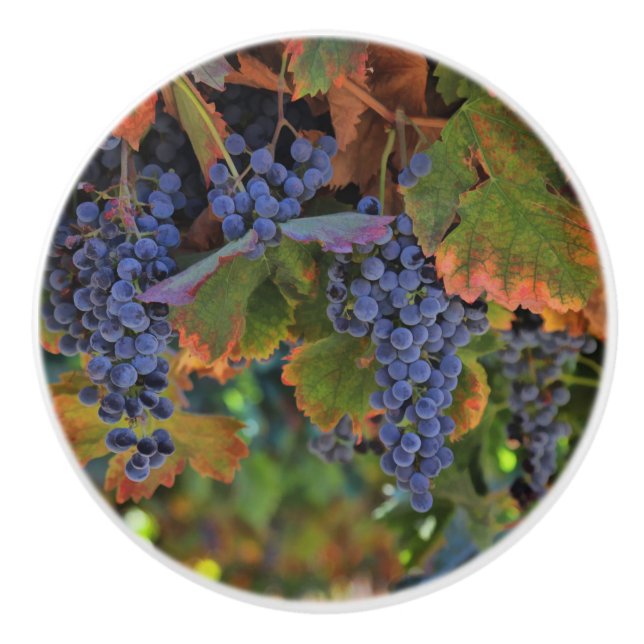 Hübsche Weinberge Weinberge und Weingärten Keramikknauf (Vorderseite)