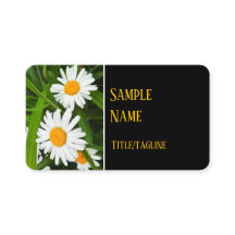 hübsche Weißbläsereien Blume Naturfotografie