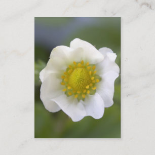 Hübsche weiße Erdbeer-Blumen Visitenkarten. Visitenkarte