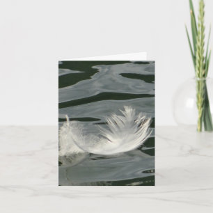 Hübsche weiße Feder