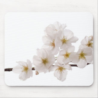 Hübsche weiße Kirschblüten-Mausunterlage Mousepad