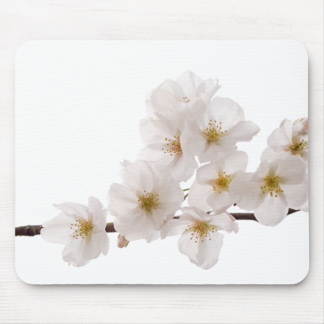 Hübsche weiße Kirschblüten-Mausunterlage Mousepad (Vorne)