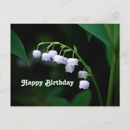 Hübsche Weiße Lilie des Tals Floral Geburtstag Postkarte